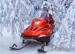 Снегоход РУССКАЯ МЕХАНИКА Тайга Варяг 550V, фото 6