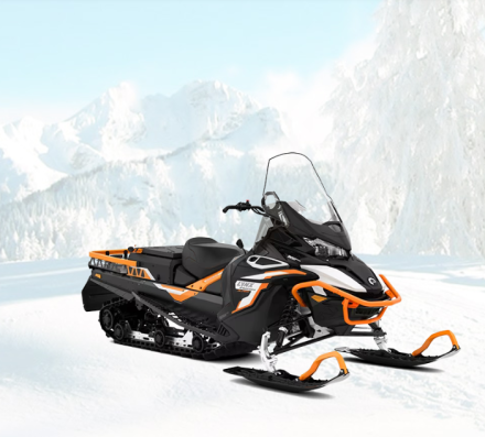 59 Ranger Alpine 900 ACE, фото 1