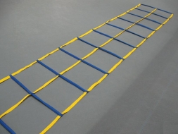 Скоростная лестница &quot;DOUBLE LADDER 10&quot;, фото 2