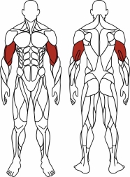Бицепс стоя (серый) - Уличный тренажер - СТ 035-13.И1, фото 6
