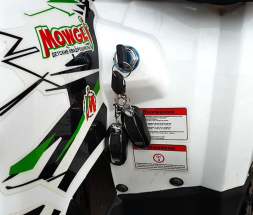 Квадроцикл MOWGLI Hardy 8+, фото 8 Квадроцикл MOWGLI Hardy 8+, фото 8