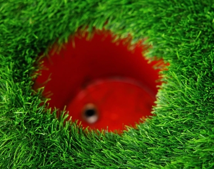 Топиари лебедь Чепелия - газон Eco Green, фото 7