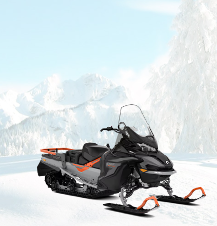 59 Ranger Pro 600 ACE, фото 1