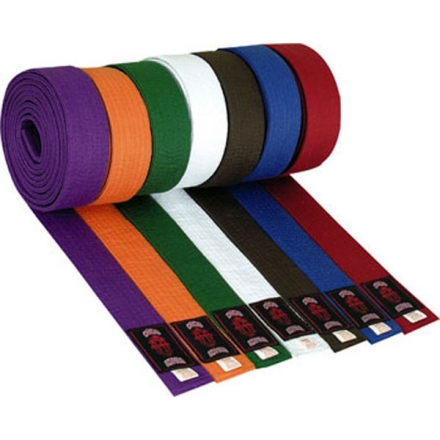 Пояс для кимоно WCB коричневый 2,80м, фото 1