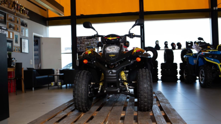 Квадроцикл СТЕЛС ATV 110A HUGO, фото 6