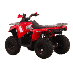 Квадроцикл MIKILON Hammer 200L Pro-R, фото 3 Квадроцикл MIKILON Hammer 200L Pro-R, фото 3