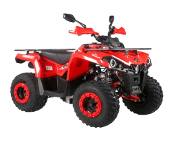 Квадроцикл MIKILON Hammer 200L Pro-R, фото 2 Квадроцикл MIKILON Hammer 200L Pro-R, фото 2