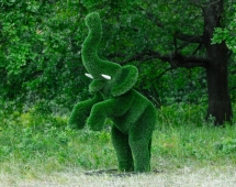 Топиари Слоник на дыбах газон Eco