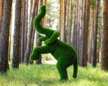 Топиари Слоник на дыбах газон Eco