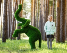 Топиари Слоник на дыбах газон Eco