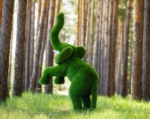 Топиари Слоник на дыбах газон Eco