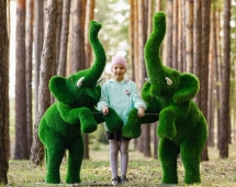 Топиари Слоник на дыбах газон Eco