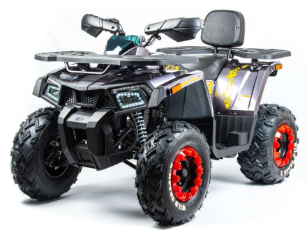 Квадроцикл TAO MOTOR ATV 200, фото 1