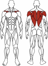Тяга верхняя с переменной нагрузкой (серый) - Уличный тренажер - СТ 036-13, фото 6