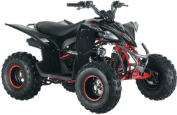 Квадроцикл MIKILON Rapide 125S, фото 3 Квадроцикл MIKILON Rapide 125S, фото 3