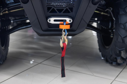 Квадроцикл HISUN Guardian 750L Long, фото 12