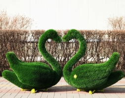 Топиари два лебедя Авелин - газон Deluxe, фото 1