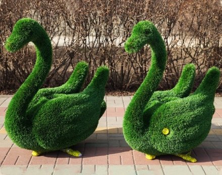 Топиари два лебедя Авелин - газон Deluxe, фото 2