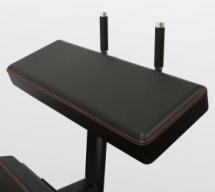 BRONZE GYM PL-1714 Сгибание ног стоя BRONZE GYM PL-1714 Сгибание ног стоя