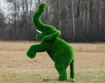 Топиари Слоник на дыбах газон Premium