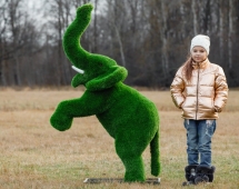 Топиари Слоник на дыбах газон Premium