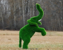 Топиари Слоник на дыбах газон Premium