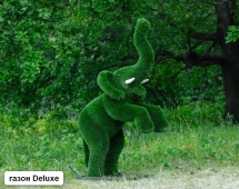 Топиари Слоник на дыбах газон Premium