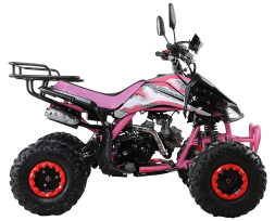 Квадроцикл MOTAX ATV T-Rex Super LUX 125 cc, фото 5