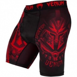 Шорты Venum venshorts0298, фото 2