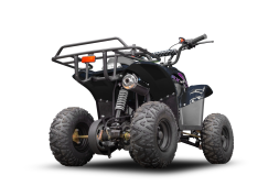 Квадроцикл RAPTOR 150 Universal, фото 6 Квадроцикл RAPTOR 150 Universal, фото 6