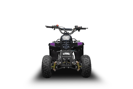 Квадроцикл RAPTOR 150 Universal, фото 5