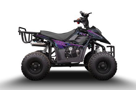 Квадроцикл RAPTOR 150 Universal, фото 3