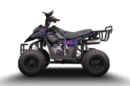 Квадроцикл RAPTOR 150 Universal, фото 2 Квадроцикл RAPTOR 150 Universal, фото 2
