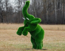 Топиари Слоник на дыбах газон Deluxe