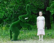 Топиари Слоник на дыбах газон Deluxe