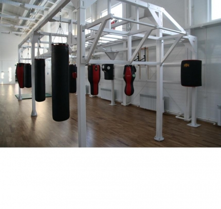 Рама для боксерских мешков, фото 1