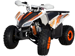 Квадроцикл МОТОМИР SPORTY 125, фото 1