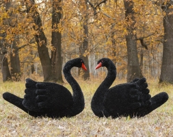 Топиари лебедь черный Блэк - газон Eco, фото 4