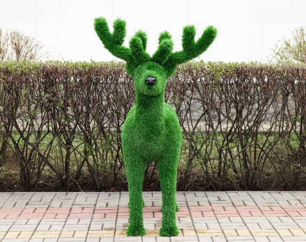 Топиари олень, малыш Орех - газон Eco Green , фото 2