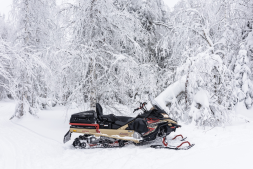 Снегоход AODES Snowcross 1000 WT LTS, фото 12