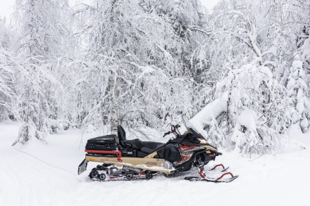 Снегоход AODES Snowcross 1000 WT LTS, фото 12