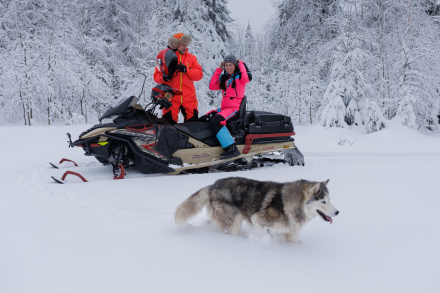 Снегоход AODES Snowcross 1000 WT LTS, фото 6