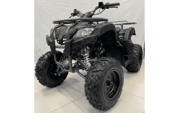 Квадроцикл IRIDE Wolf 200, фото 2 Квадроцикл IRIDE Wolf 200, фото 2