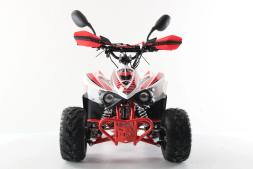 Квадроцикл MOTAX ATV Mikro 110cc, фото 4