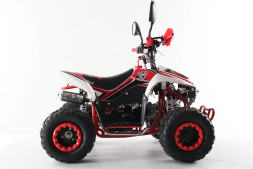 Квадроцикл MOTAX ATV Mikro 110cc, фото 2