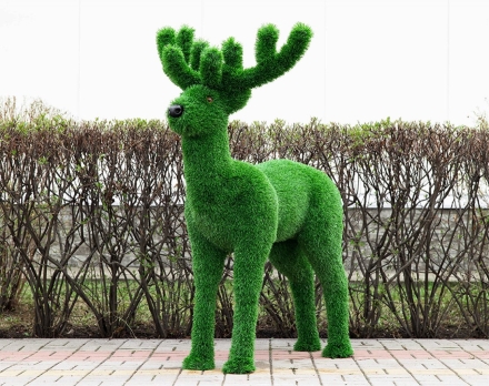 Топиари олень, малыш Орех - газон Eco, фото 5