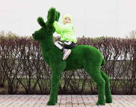 Топиари олень, малыш Орех - газон Eco, фото 6