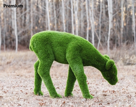 Топиари олень, Самочка - газон Eco, фото 8