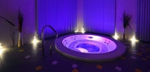 Спа-бассейн Wellis Acapulco Deep-In