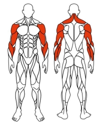 Рули (положение сидя) красный - Уличный тренажер - СТ 102-11, фото 6